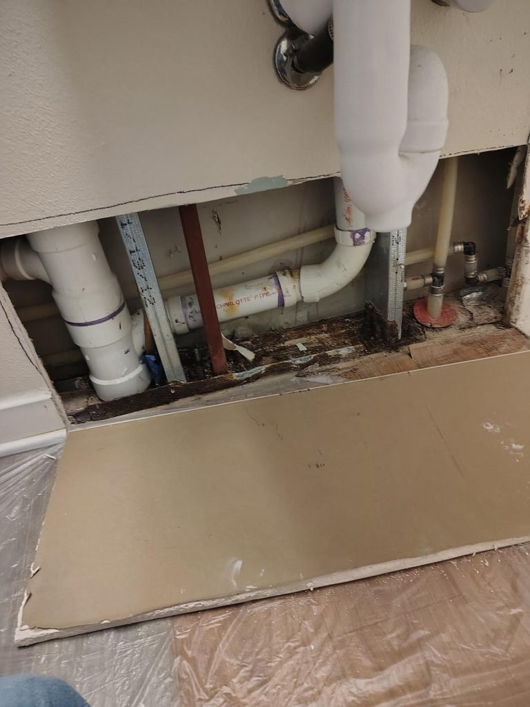 WhatsApp Image 2026-01-19 at 14.24